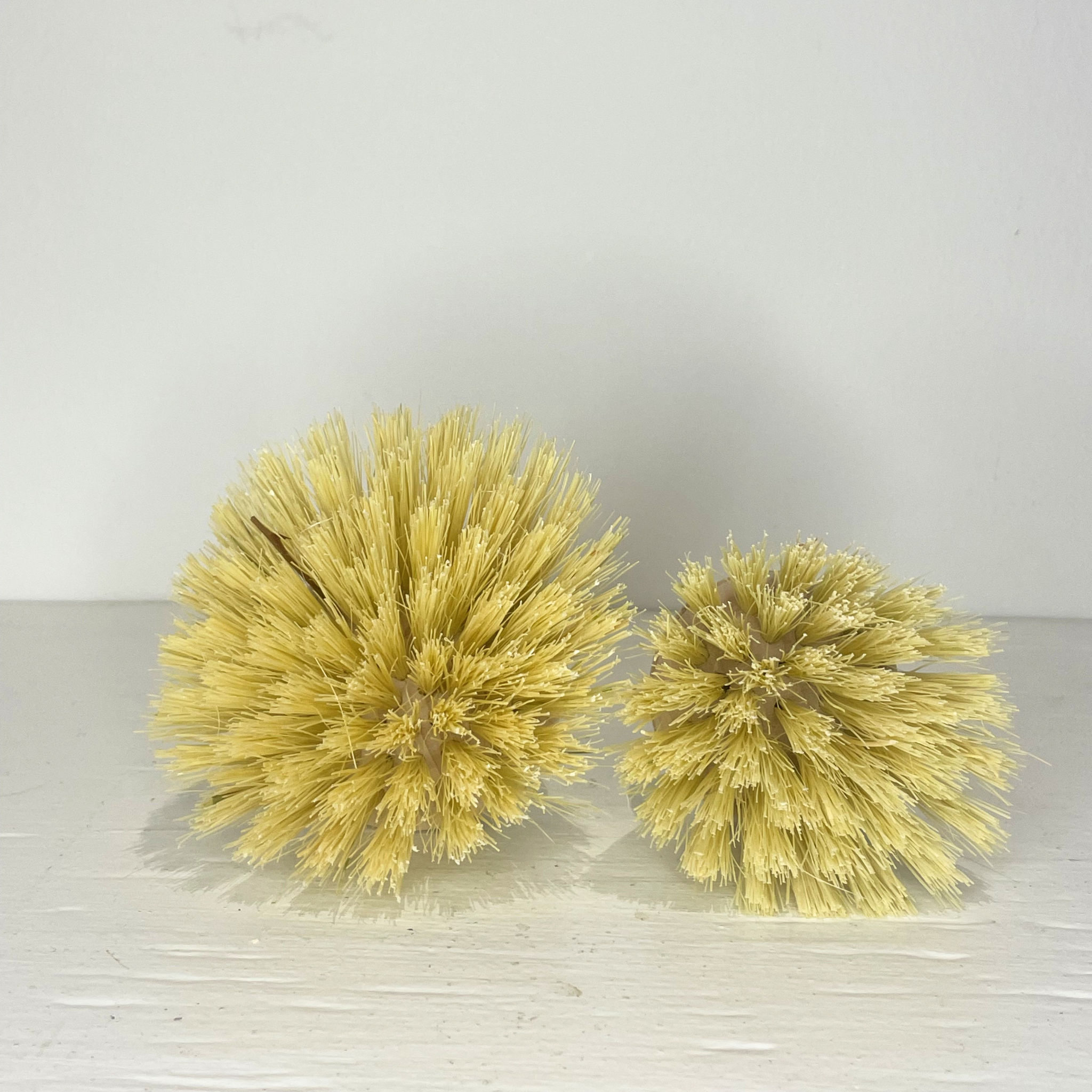 Replacement Heads for Dish Brush