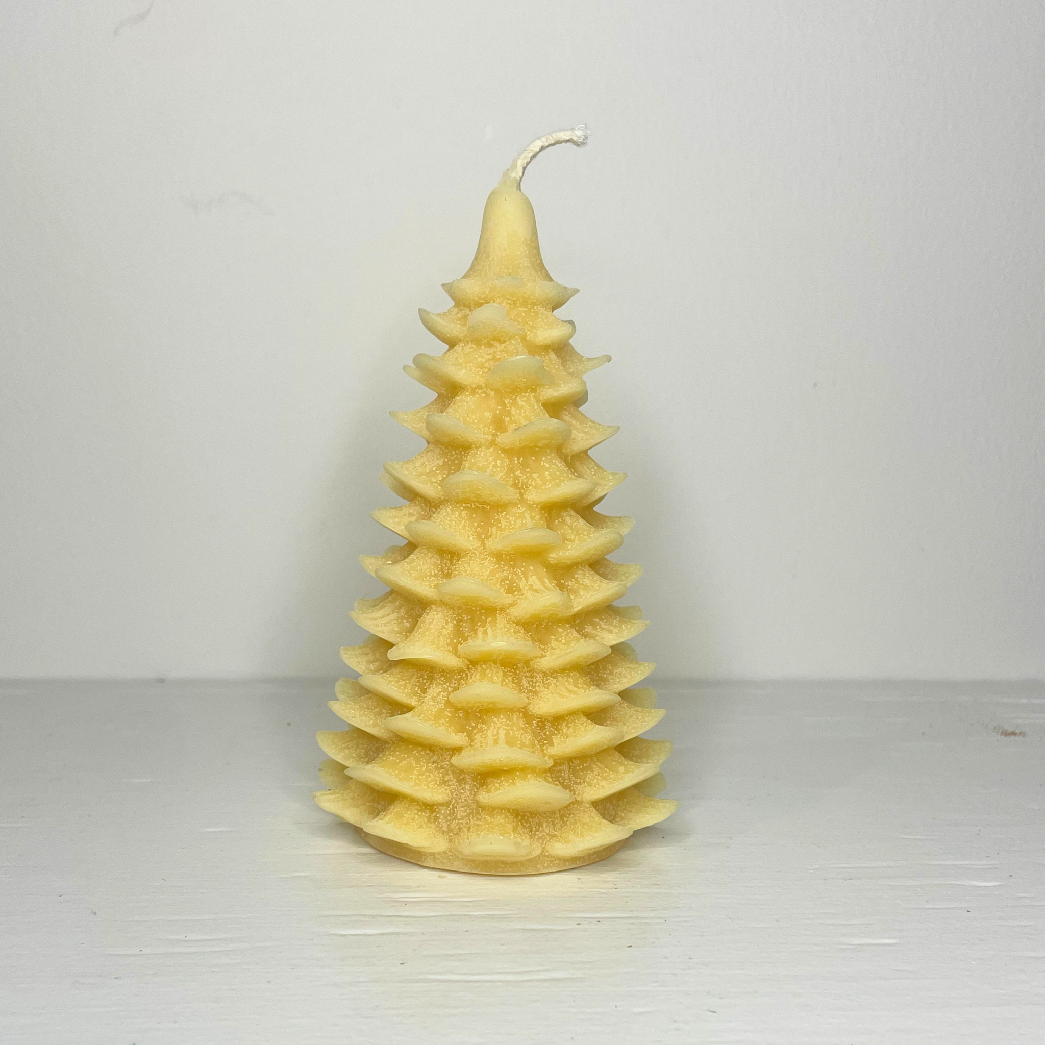 Beeswax Tree Candles - Large
