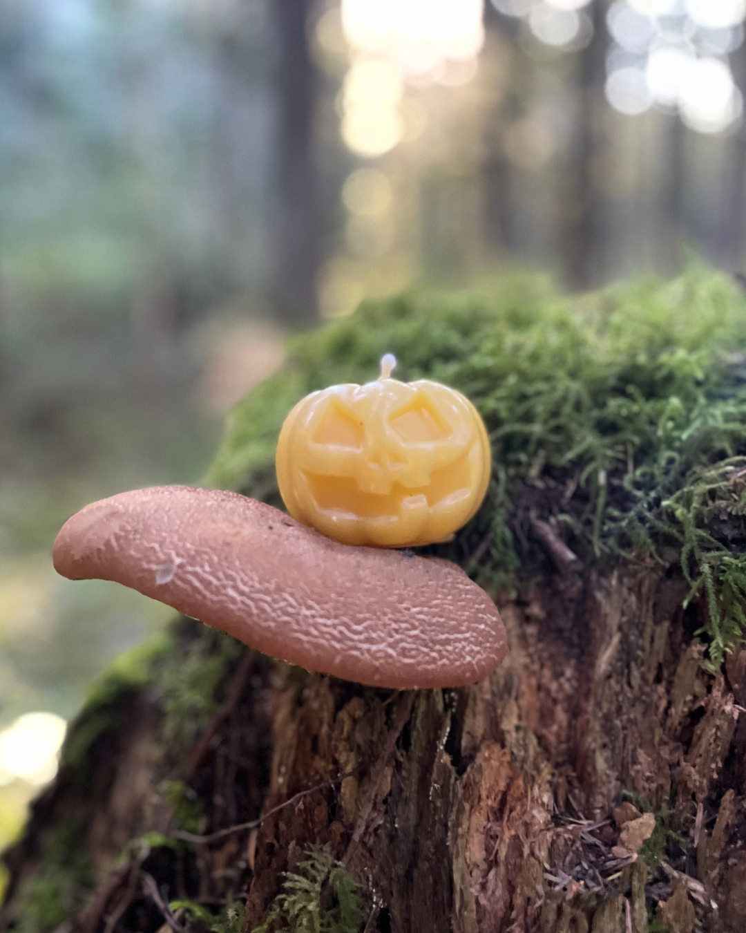 Jack-O-Lantern Beeswax Candle