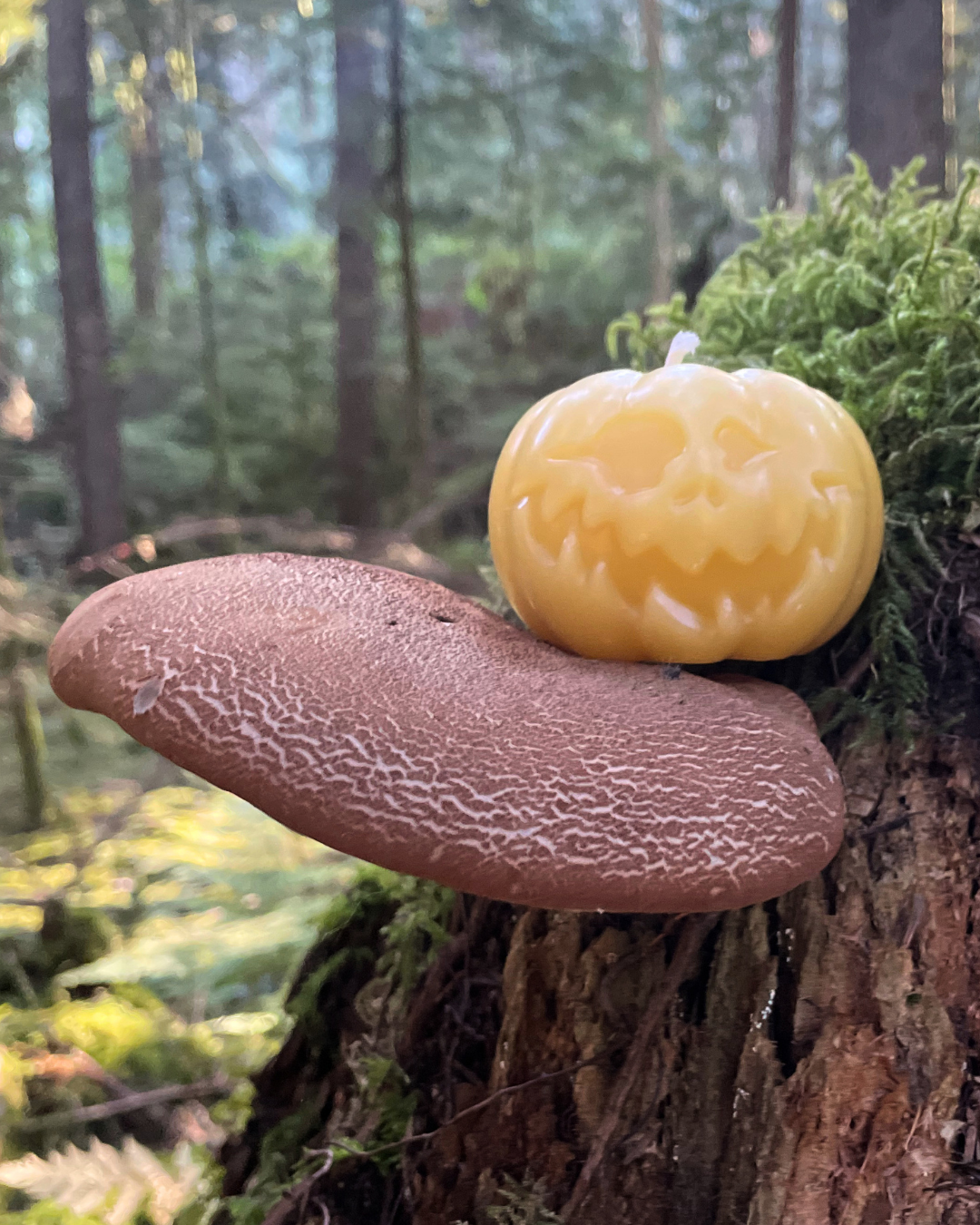 Jack-O-Lantern Beeswax Candle
