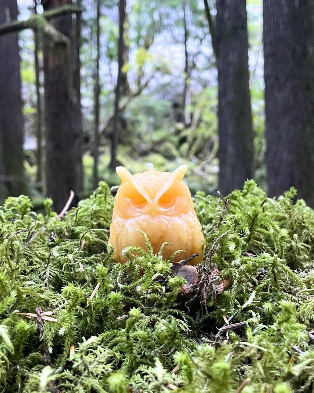 Owl Beeswax Candle