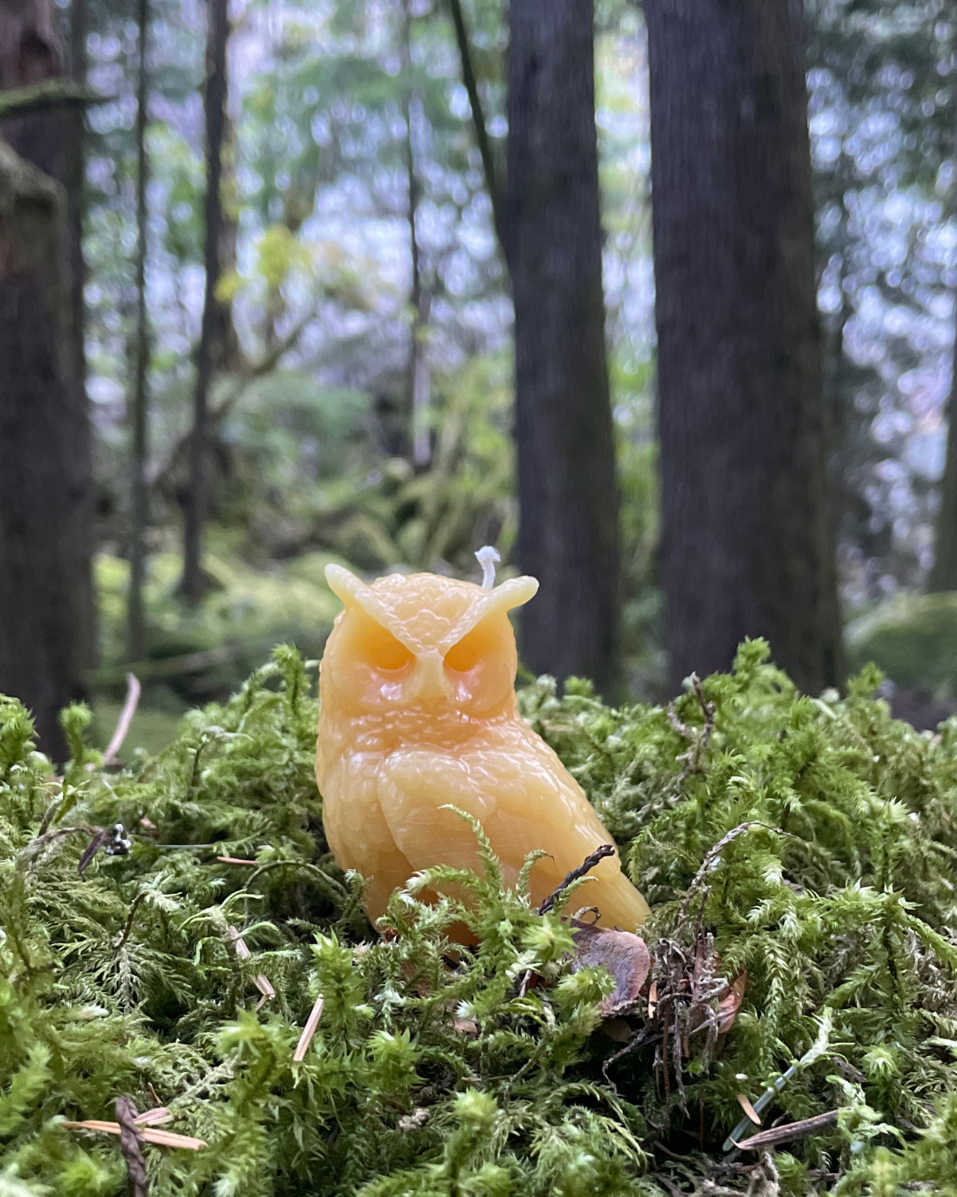 Owl Beeswax Candle